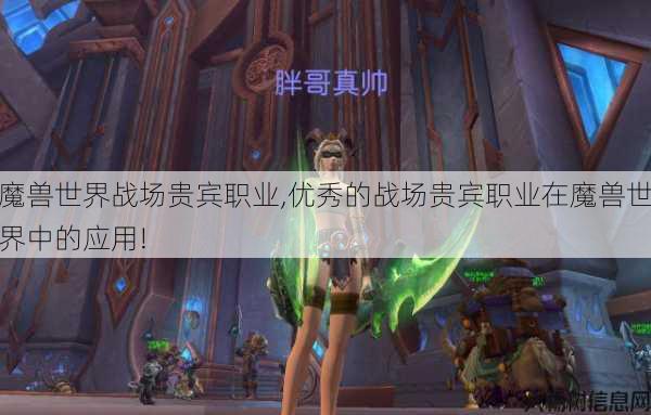 魔兽世界战场贵宾职业,优秀的战场贵宾职业在魔兽世界中的应用!