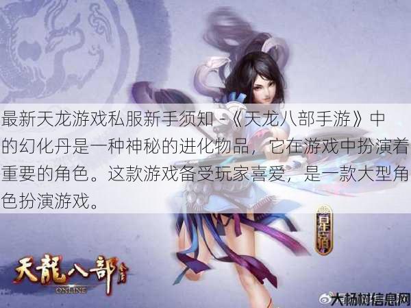 最新天龙游戏私服新手须知 -《天龙八部手游》中的幻化丹是一种神秘的进化物品，它在游戏中扮演着重要的角色。这款游戏备受玩家喜爱，是一款大型角色扮演游戏。 第1张