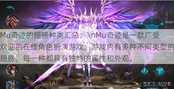 Mu奇迹的翅膀种类汇总：\nMu奇迹是一款广受欢迎的在线角色扮演游戏，游戏内有多种不同类型的翅膀，每一种都具有独特的属性和外观。 第1张