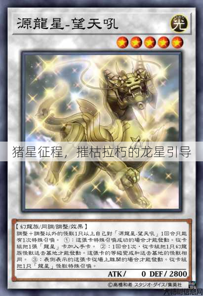 猪星征程,摧枯拉朽的龙星引导