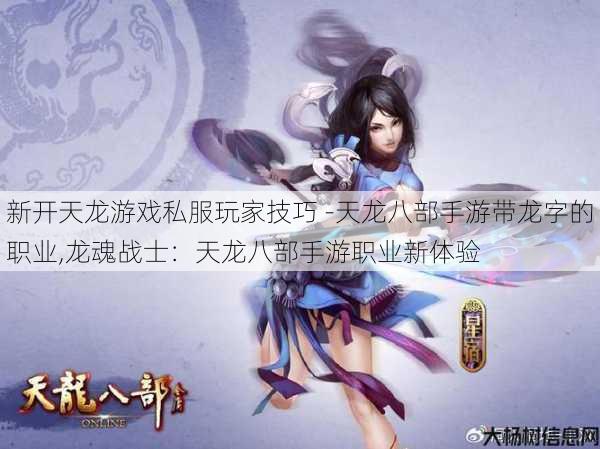 新开天龙游戏私服玩家技巧 -天龙八部手游带龙字的职业,龙魂战士：天龙八部手游职业新体验 第1张