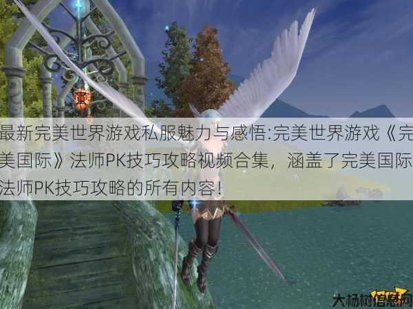 最新完美世界游戏私服魅力与感悟:完美世界游戏《完美国际》法师PK技巧攻略视频合集，涵盖了完美国际法师PK技巧攻略的所有内容！ 第1张