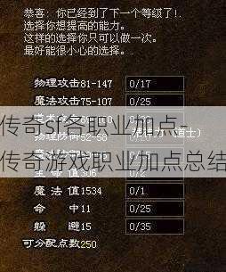 传奇sf各职业加点-传奇游戏职业加点总结