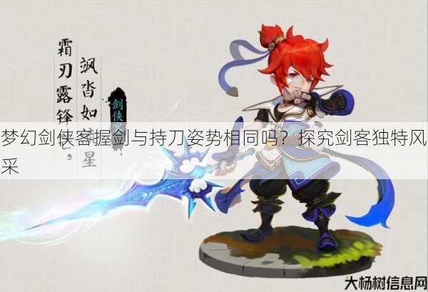 梦幻剑侠客握剑与持刀姿势相同吗？探究剑客独特风采 第1张