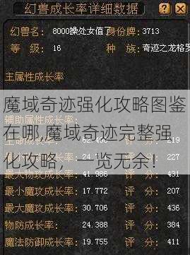 魔域奇迹强化攻略图鉴在哪,魔域奇迹完整强化攻略,一览无余!