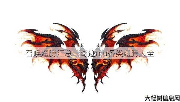 召唤翅膀汇总：奇迹mu各类翅膀大全 第1张