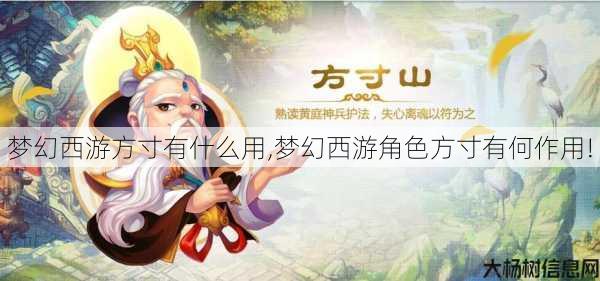 梦幻西游方寸有什么用,梦幻西游角色方寸有何作用! 第1张