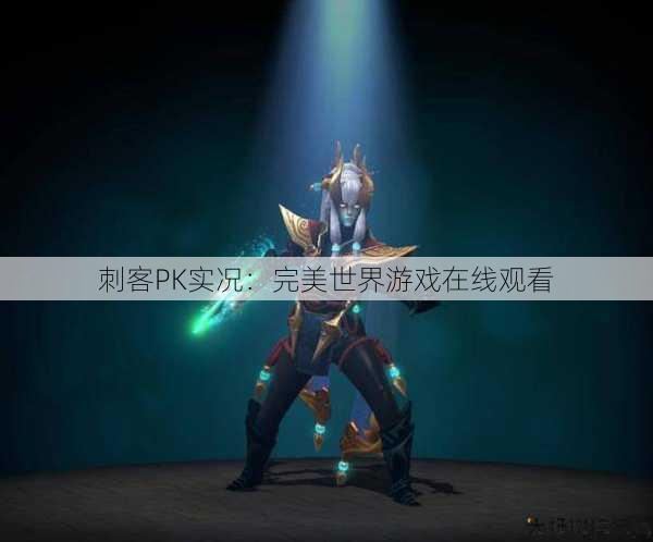 刺客PK实况：完美世界游戏在线观看
