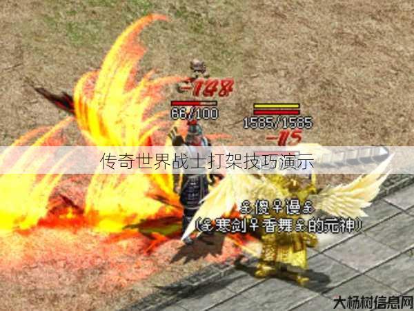 传奇世界战士打架技巧演示 第1张