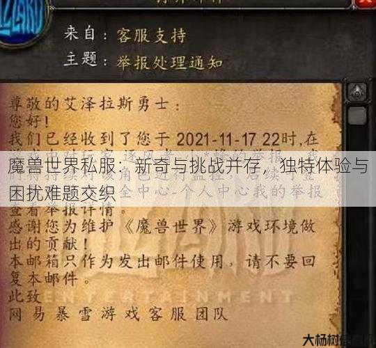 魔兽世界私服：新奇与挑战并存，独特体验与困扰难题交织 第1张