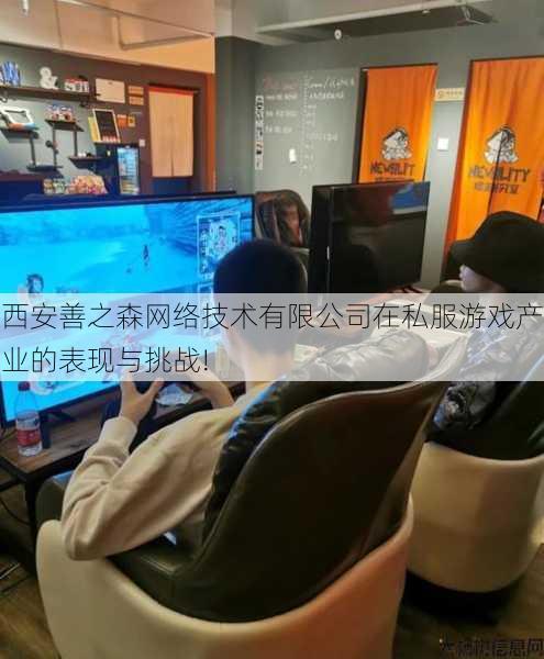 西安善之森网络技术有限公司在私服游戏产业的表现与挑战! 第2张