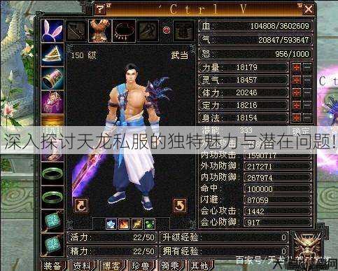 深入探讨天龙私服的独特魅力与潜在问题! 第1张