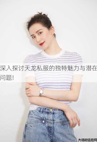 深入探讨天龙私服的独特魅力与潜在问题! 第2张