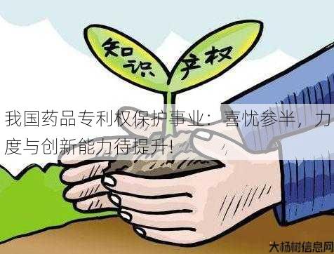 我国药品专利权保护事业：喜忧参半，力度与创新能力待提升!