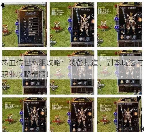 热血传世私服攻略:装备打造、副本玩法与职业攻略精髓! 第2张 热血传世私服攻略:装备打造、副本玩法与职业攻略精髓! 第2张