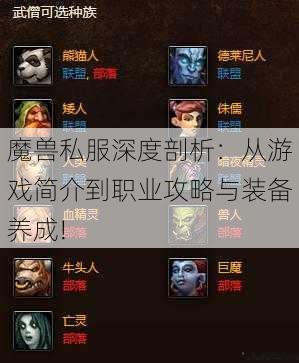 魔兽私服深度剖析：从游戏简介到职业攻略与装备养成!