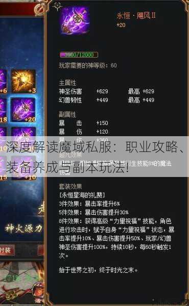 深度解读魔域私服:职业攻略、装备养成与副本玩法! 第2张 深度解读魔域私服:职业攻略、装备养成与副本玩法! 第2张