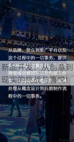 新品开发：从创意到现实的挑战与喜悦!