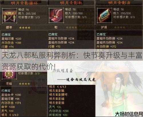 天龙八部公益私服利弊剖析:快节奏升级与丰富资源获取的代价! 第2张 天龙八部公益私服利弊剖析:快节奏升级与丰富资源获取的代价! 第2张