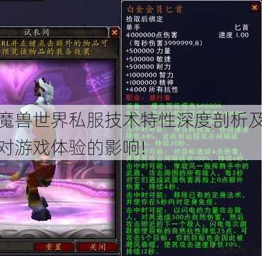 魔兽世界私服技术特性深度剖析及对游戏体验的影响! 第2张