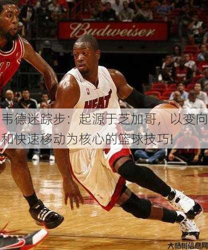 韦德迷踪步：起源于芝加哥，以变向和快速移动为核心的篮球技巧!