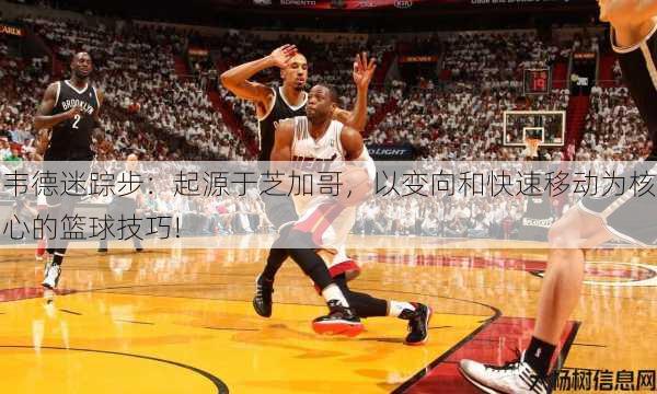 韦德迷踪步：起源于芝加哥，以变向和快速移动为核心的篮球技巧! 第2张
