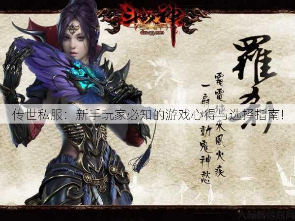 传世私服：新手玩家必知的游戏心得与选择指南! 第2张
