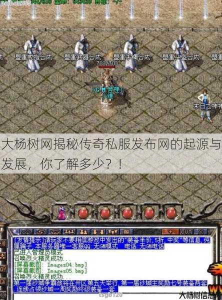 大杨树网揭秘传奇私服发布网的起源与发展，你了解多少？!