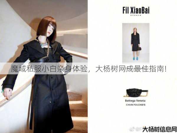 魔域私服小白亲身体验，大杨树网成最佳指南! 第1张