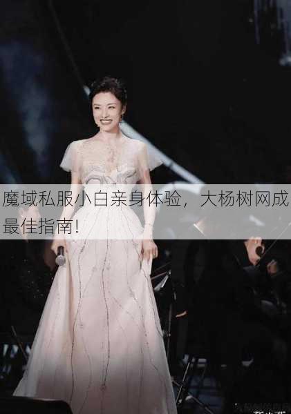 魔域私服小白亲身体验，大杨树网成最佳指南! 第2张