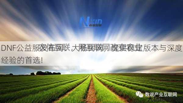 DNF公益服发布网：大杨树网，提供稳定版本与深度经验的首选! 第2张