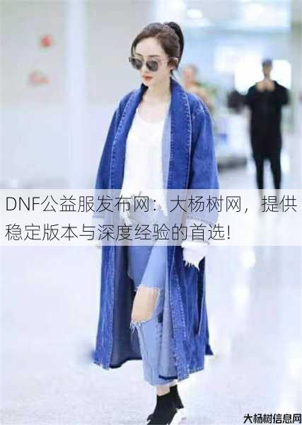 DNF公益服发布网：大杨树网，提供稳定版本与深度经验的首选!