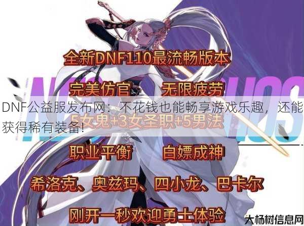 DNF公益服发布网：不花钱也能畅享游戏乐趣，还能获得稀有装备!