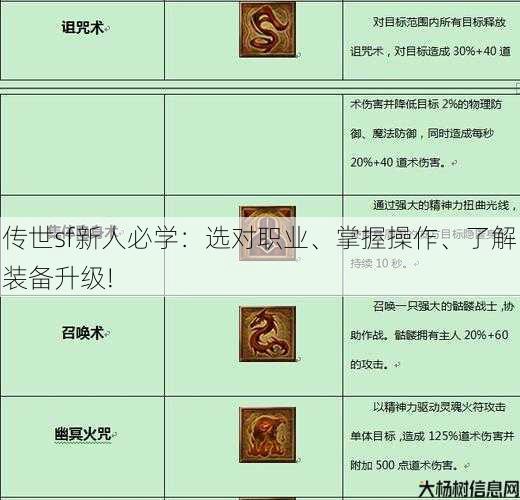 传世sf新人必学：选对职业、掌握操作、了解装备升级!