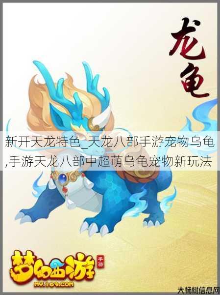 新开天龙特色_天龙八部手游宠物乌龟,手游天龙八部中超萌乌龟宠物新玩法 第1张