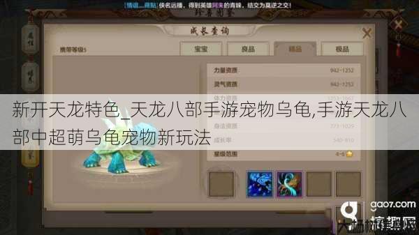 新开天龙特色_天龙八部手游宠物乌龟,手游天龙八部中超萌乌龟宠物新玩法 第3张
