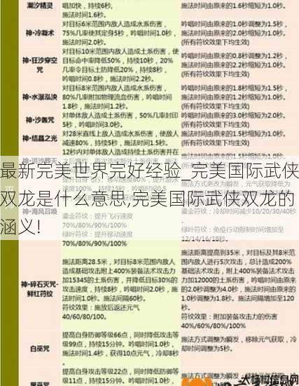 最新完美世界完好经验_完美国际武侠双龙是什么意思,完美国际武侠双龙的涵义! 第2张
