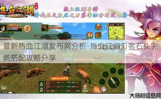 最新热血江湖发布网分析-热血江湖刀客石头完美搭配攻略分享 第3张