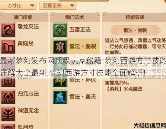 最新梦幻发布网顶级玩家秘籍:梦幻西游方寸技能详解大全最新,梦幻西游方寸技能全面解析! 第2张