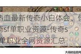 热血最新传奇小白体会、传奇sf单职业资源-传奇sf单职业全网资源汇总