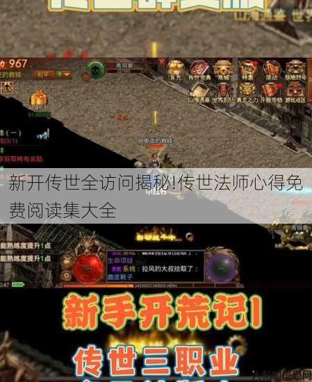 新开传世全访问揭秘!传世法师心得免费阅读集大全 第2张