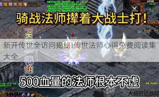 新开传世全访问揭秘!传世法师心得免费阅读集大全 第3张