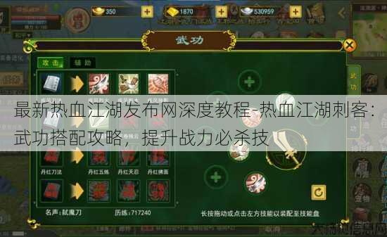 最新热血江湖发布网深度教程-热血江湖刺客：武功搭配攻略，提升战力必杀技 第2张
