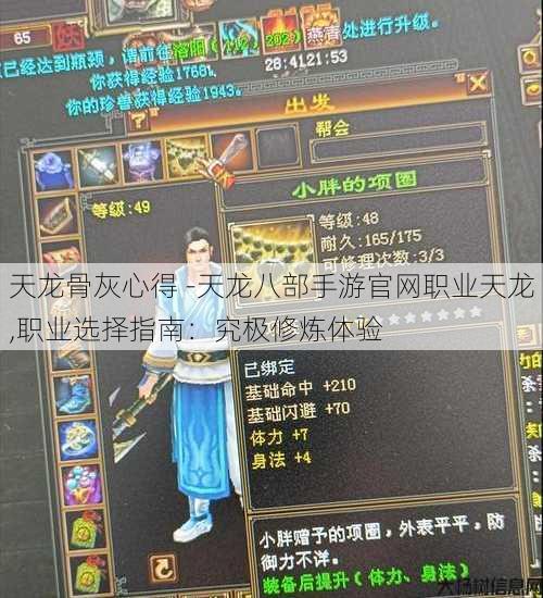 天龙骨灰心得 -天龙八部手游官网职业天龙,职业选择指南：究极修炼体验 第1张