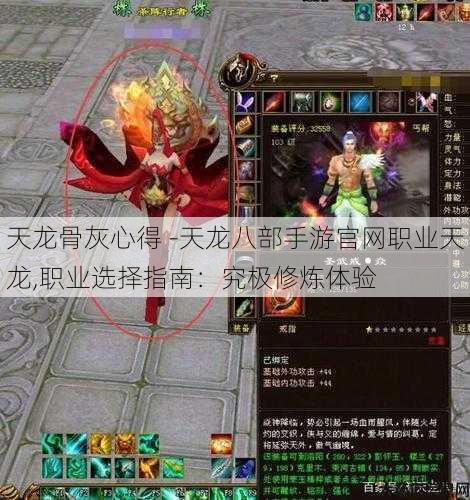 天龙骨灰心得 -天龙八部手游官网职业天龙,职业选择指南：究极修炼体验 第3张