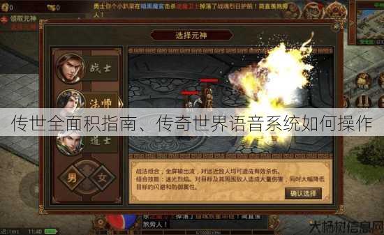 传世全面积指南、传奇世界语音系统如何操作 第1张