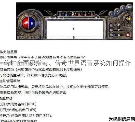 传世全面积指南、传奇世界语音系统如何操作 第2张