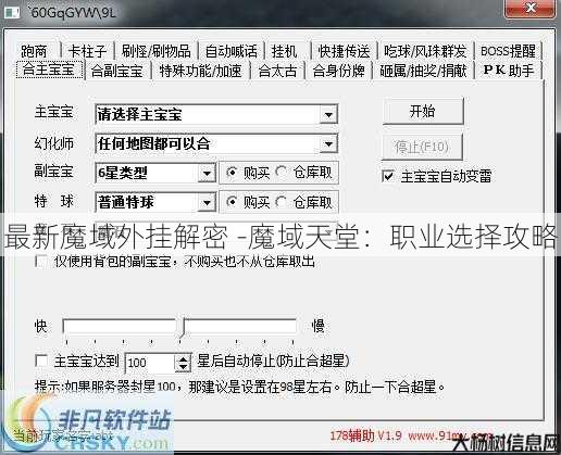 最新魔域外挂解密 -魔域天堂：职业选择攻略 第2张