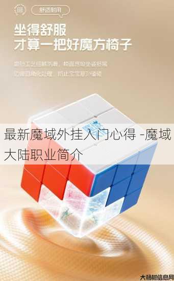 最新魔域外挂入门心得 -魔域大陆职业简介