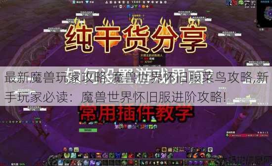 最新魔兽玩家攻略:魔兽世界怀旧服菜鸟攻略,新手玩家必读：魔兽世界怀旧服进阶攻略! 第3张